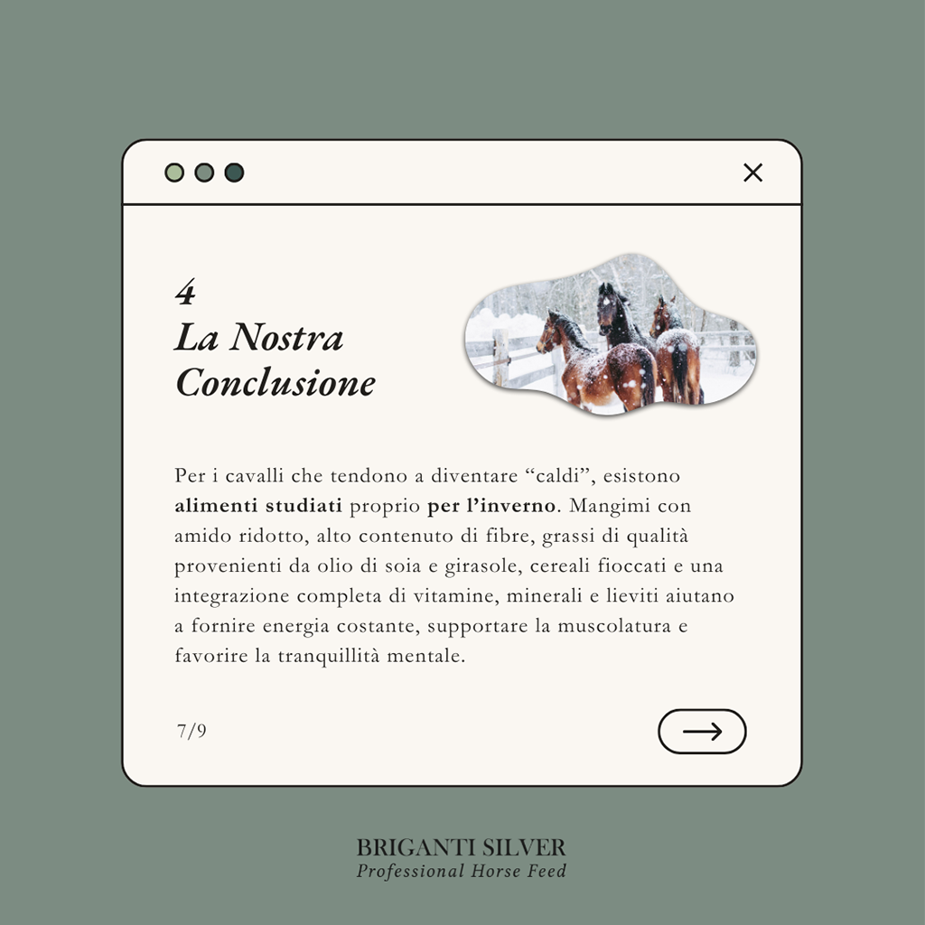 chevaux chauds et nerveux en hiver 7