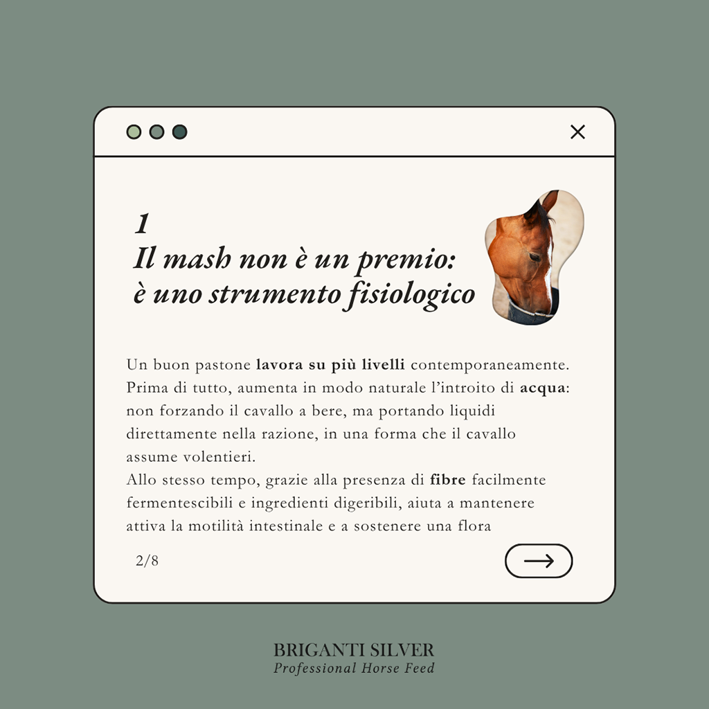 Estate e cavalli l'errore che fanno quasi tutti nell'alimentazione 2