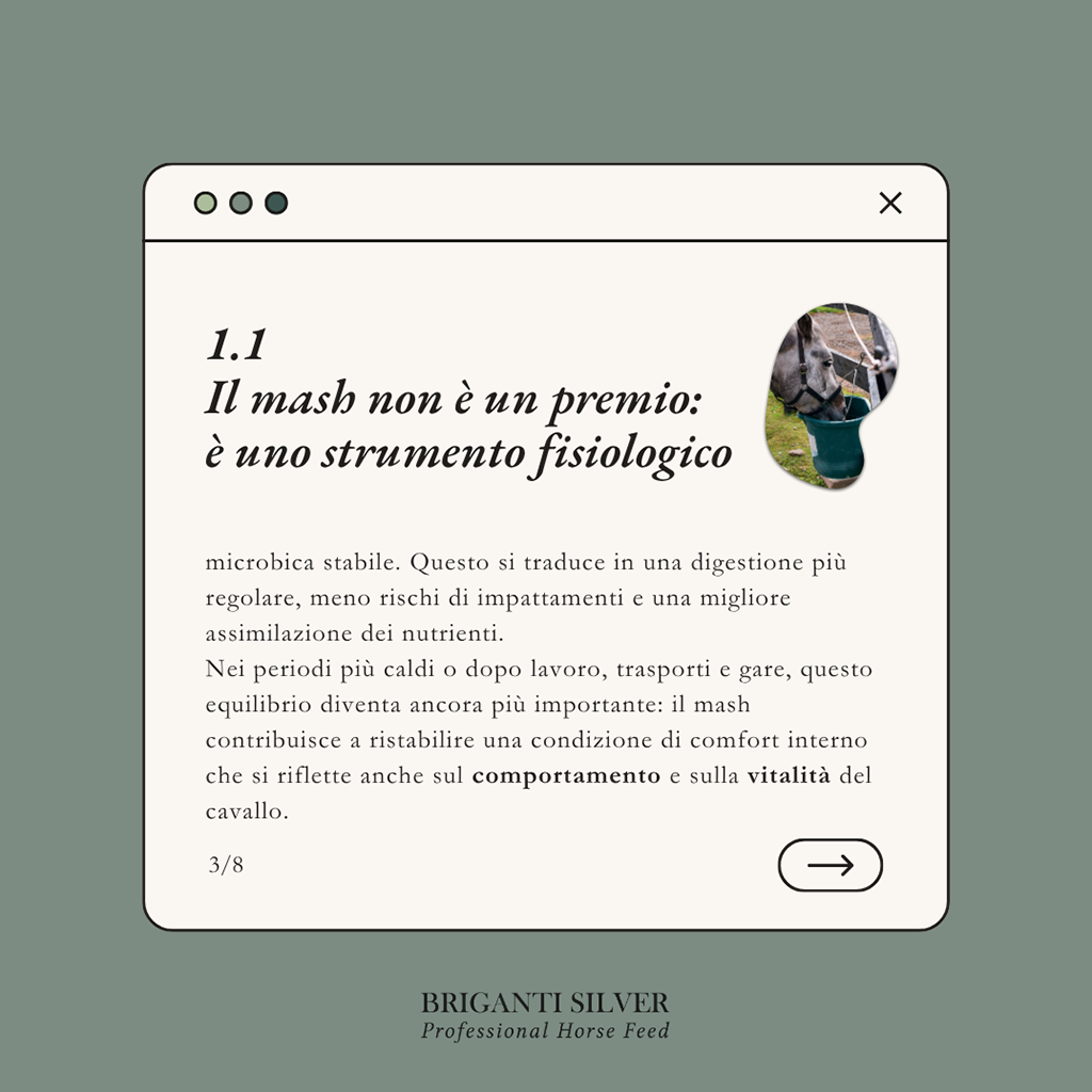 Estate e cavalli l'errore che fanno quasi tutti nell'alimentazione 3