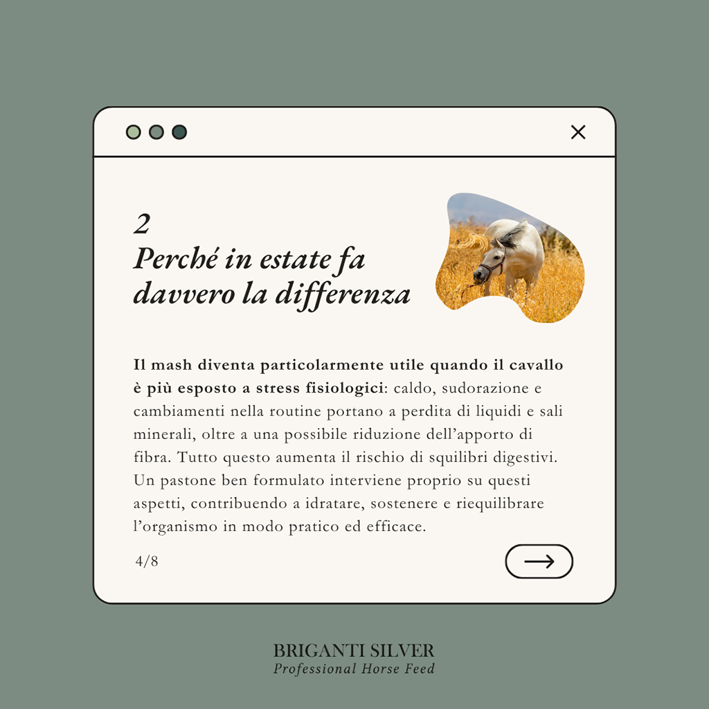 Estate e cavalli l'errore che fanno quasi tutti nell'alimentazione 4