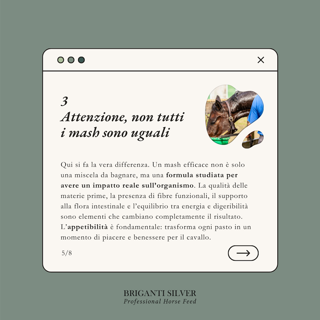 Estate e cavalli l'errore che fanno quasi tutti nell'alimentazione 5
