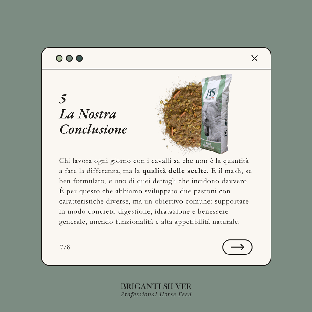 Estate e cavalli l'errore che fanno quasi tutti nell'alimentazione 7