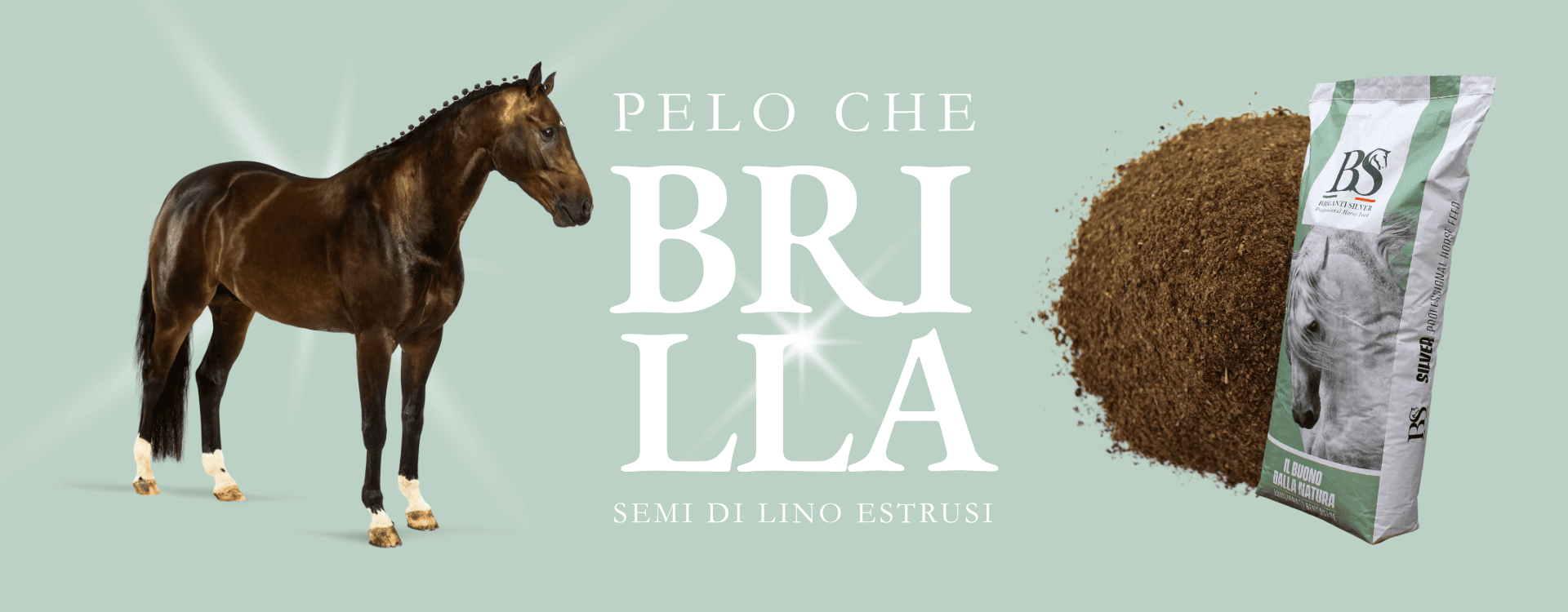 Semi di lino estrusi