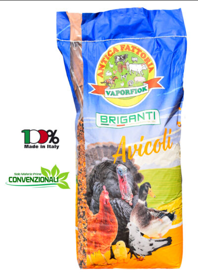 Chicco Gold