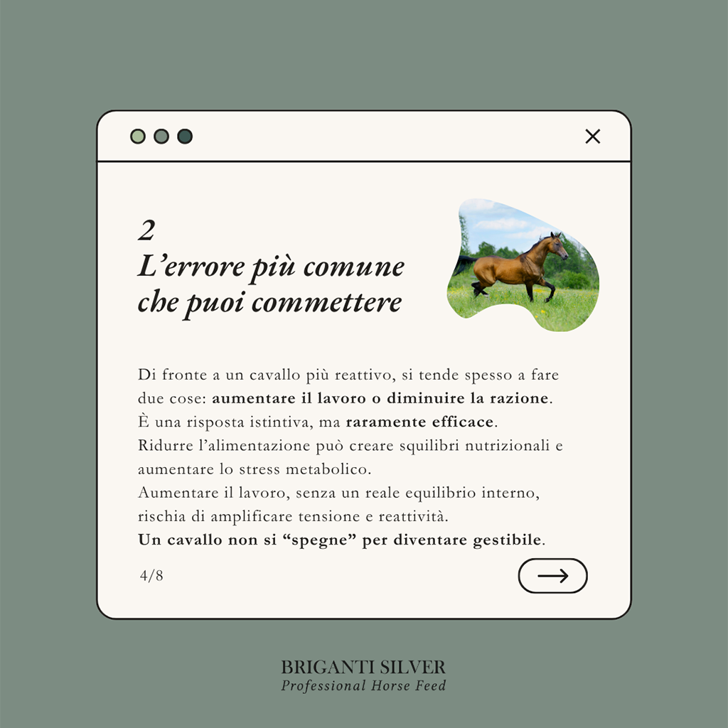 Cavallo caldo in primavera 4