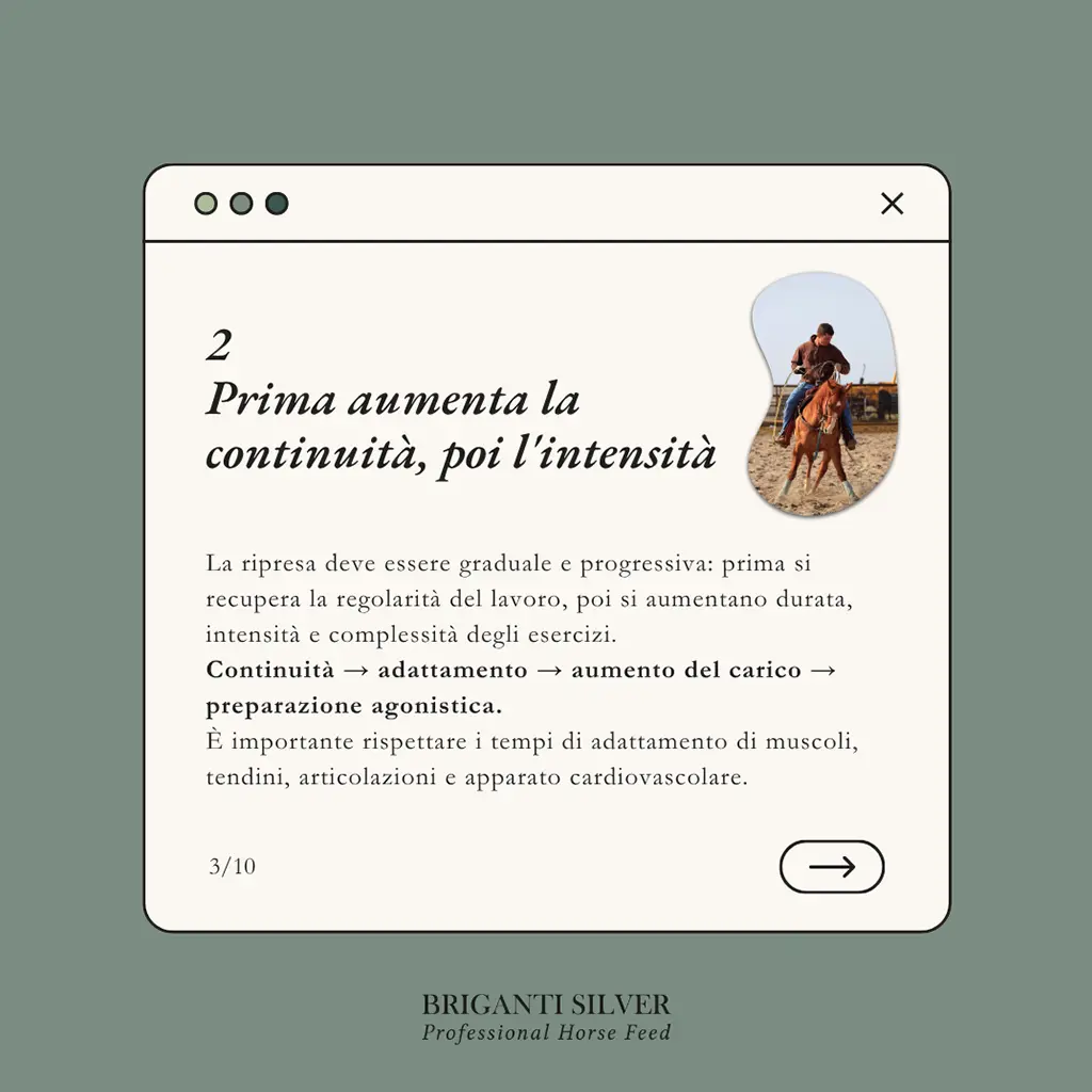 Ripresa dell'attività sportiva dopo la pausa estiva3