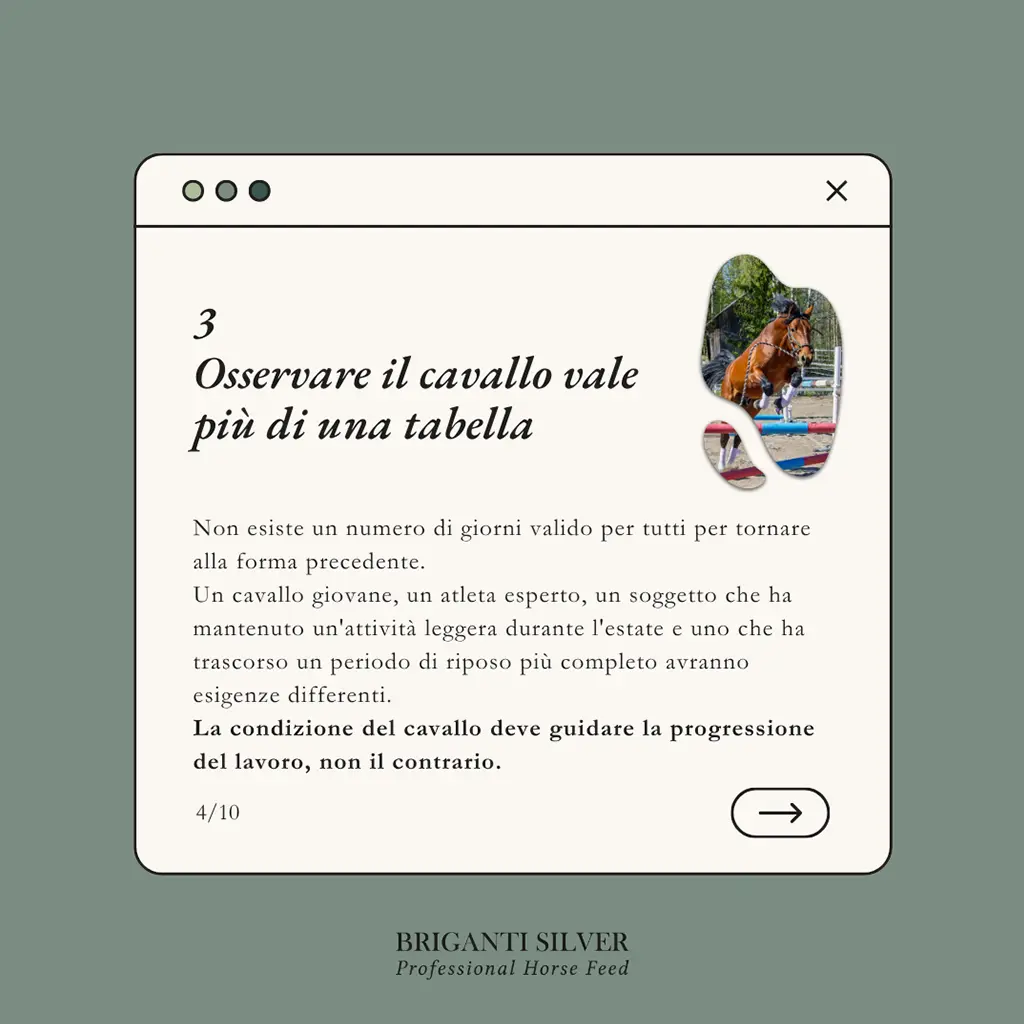 Ripresa dell'attività sportiva dopo la pausa estiva4