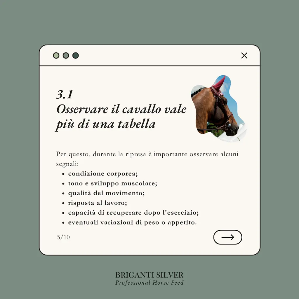 Ripresa dell'attività sportiva dopo la pausa estiva5