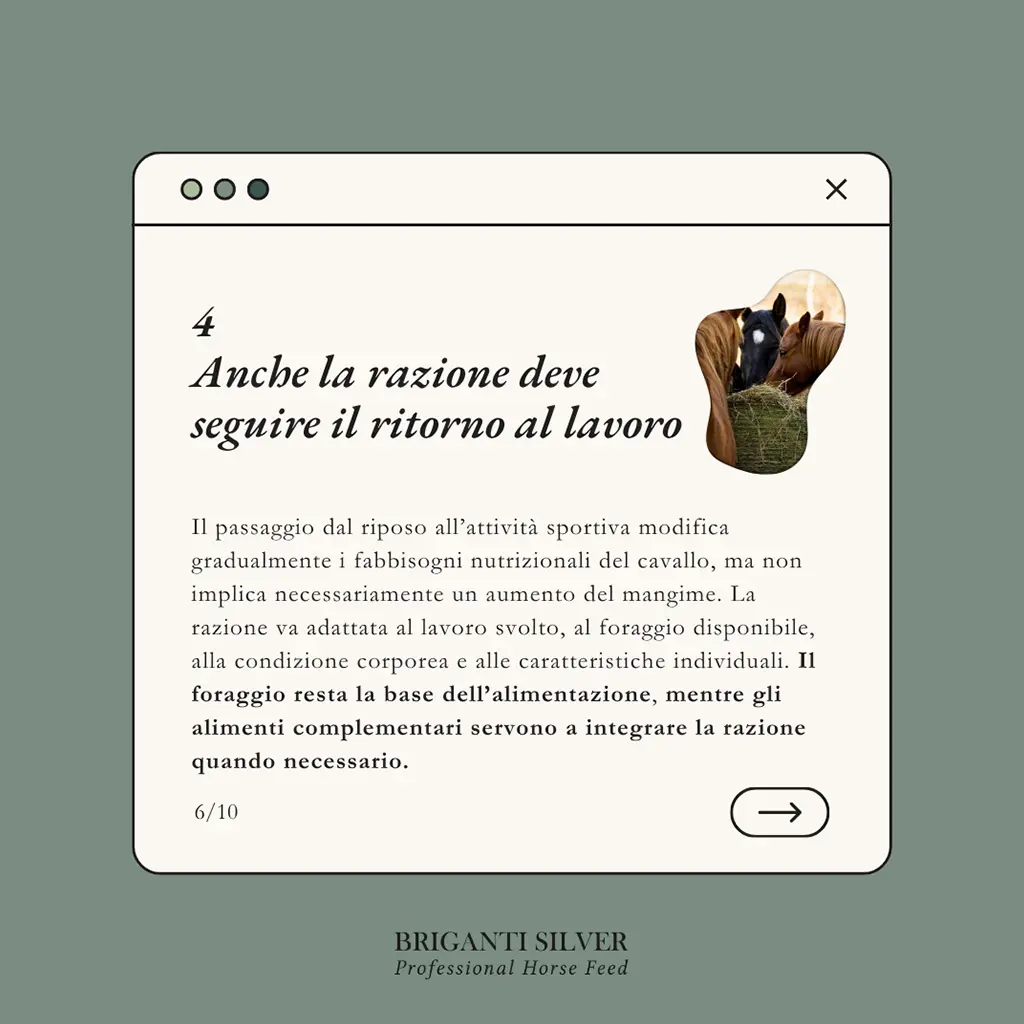 Ripresa dell'attività sportiva dopo la pausa estiva6