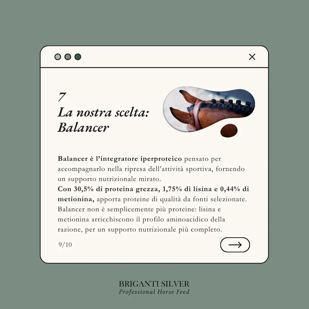 Ripresa dell'attività sportiva dopo la pausa estiva9