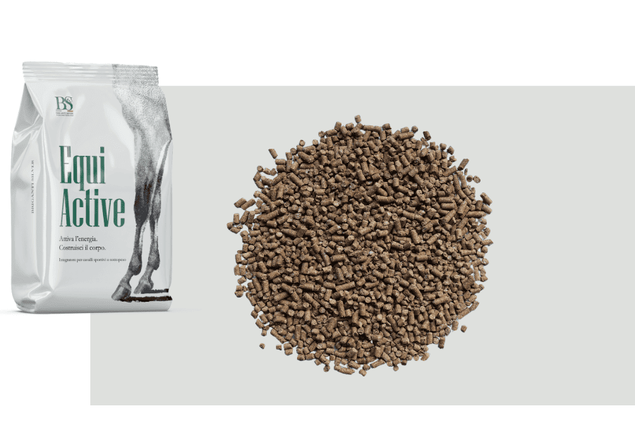 equi active