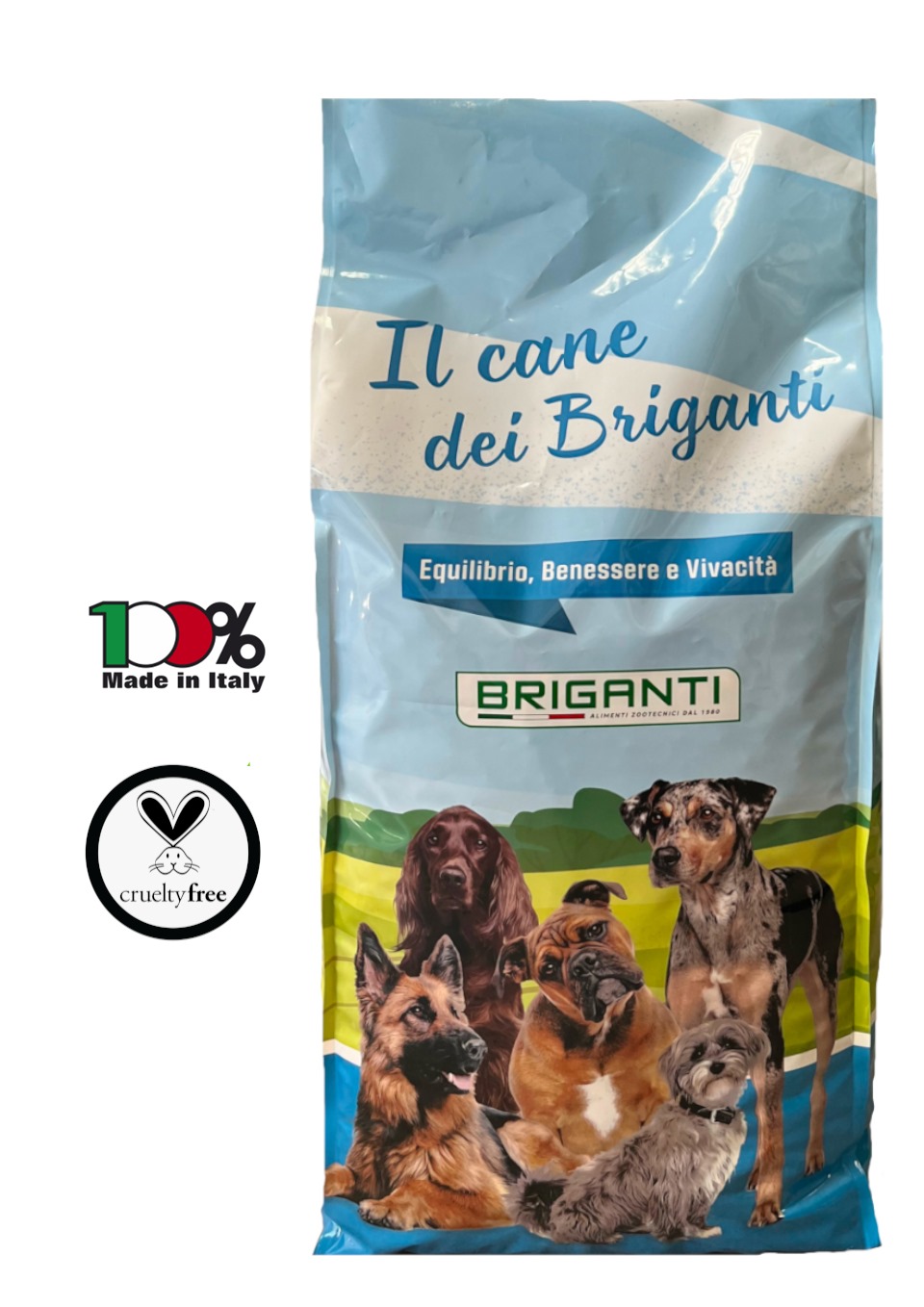 The Dog of the Briganti - The Soup