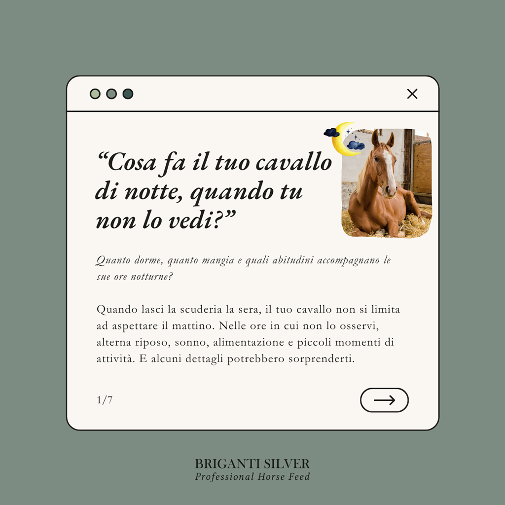 Cosa fa il tuo cavallo di notte, quando tu non lo vedi? Quanto dorme, quanto mangia e quali abitudini accompagnano le sue ore notturne