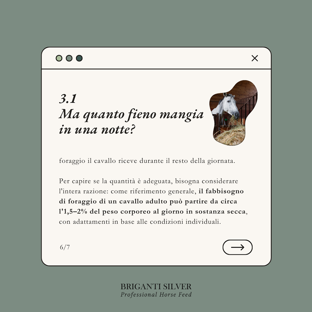 Fabbisogno di foraggio del cavallo adulto: circa 1,5-2% del peso corporeo al giorno in sostanza secca